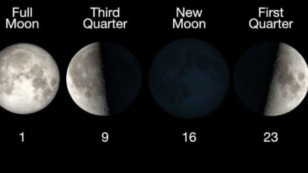 10 नवंबर 2020