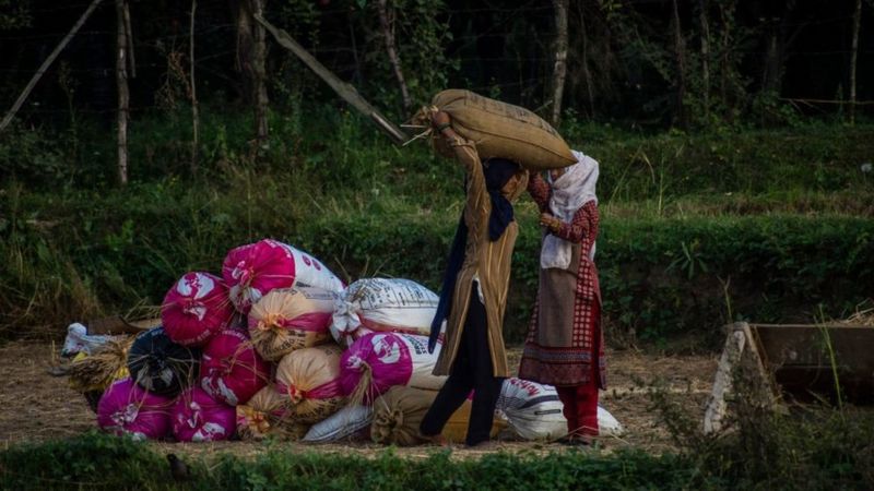 किसान आंदोलन: कृषि क़ानूनों पर जारी विरोध में कहाँ हैं भूमिहीन महिला किसान? किसान आंदोलन: कृषि क़ानूनों पर जारी विरोध में कहाँ हैं भूमिहीन महिला किसान?