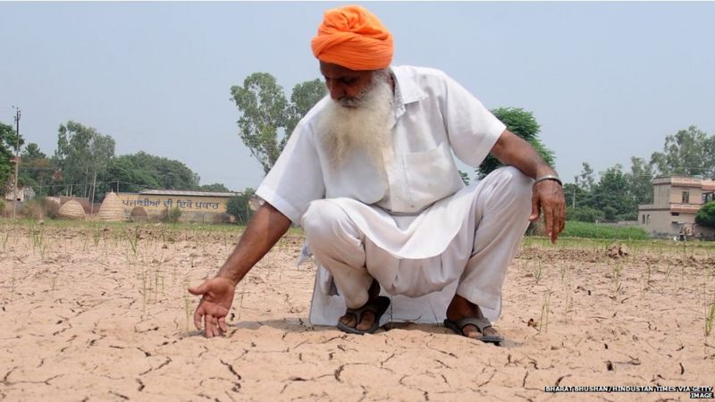 किसान आंदोलन: कॉन्ट्रैक्ट खेती से कितना फ़ायदा, कितना नुक़सान