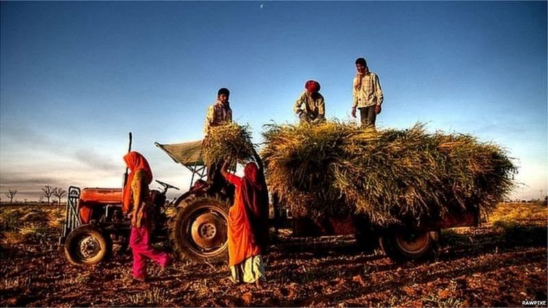 किसानों और सरकार के बीच भरोसा क्यों नहीं कायम हो पा रहा है?