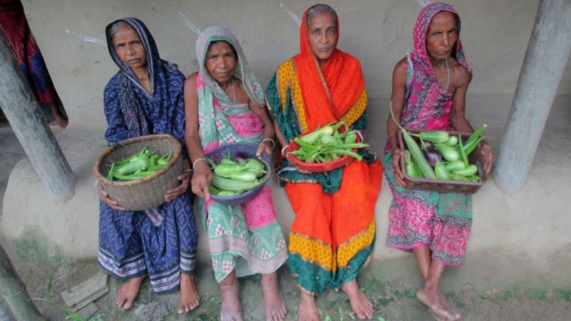 किसान आंदोलन: कृषि क़ानूनों पर जारी विरोध में कहाँ हैं भूमिहीन महिला किसान? किसान आंदोलन: कृषि क़ानूनों पर जारी विरोध में कहाँ हैं भूमिहीन महिला किसान?