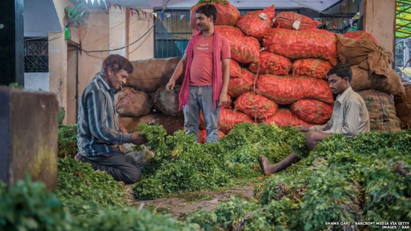 किसान आंदोलन: कॉन्ट्रैक्ट खेती से कितना फ़ायदा, कितना नुक़सान