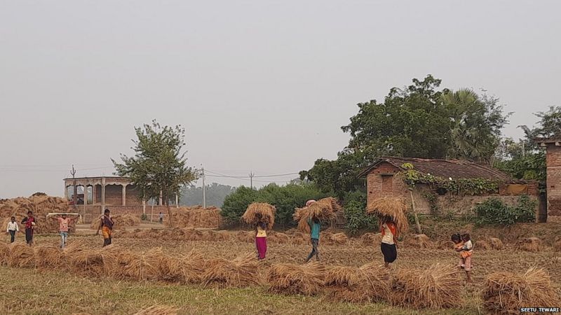 किसान आंदोलन: एपीएमसी एक्ट ख़त्म होने के बाद बिहार में क्या किसानों के हालात बदले? किसान आंदोलन: एपीएमसी एक्ट ख़त्म होने के बाद बिहार में क्या किसानों के हालात बदले?