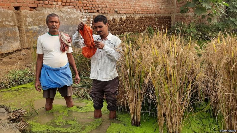 किसान आंदोलन: एपीएमसी एक्ट ख़त्म होने के बाद बिहार में क्या किसानों के हालात बदले? किसान आंदोलन: एपीएमसी एक्ट ख़त्म होने के बाद बिहार में क्या किसानों के हालात बदले?