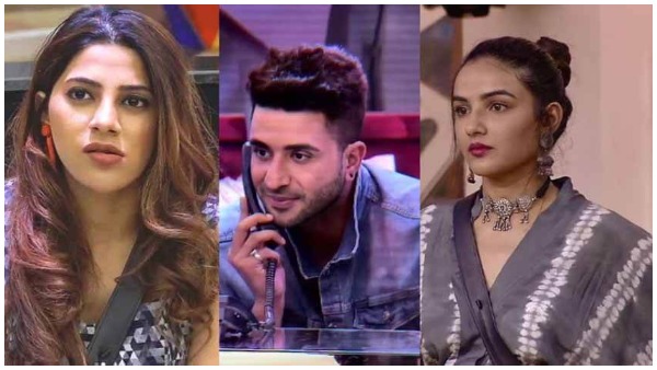 निक्ली बनीं अली और जैस्मिन के झगड़े की वजह 