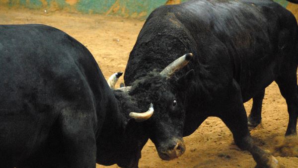 घर में हुआ काफी नुकसान, कई लोग चोटिल घर में हुआ काफी नुकसान, कई लोग चोटिल