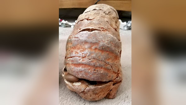 सोशल मीडिया पर दोस्तों से मांगी जानकारी