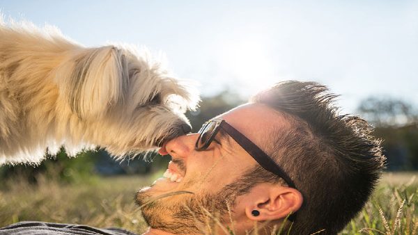 इतिहास में इंसान और कुत्तों की दोस्ती को लेकर कई कहानियां हैं
