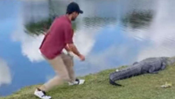 दबे कदमों के साथ पहुंचा मगरमच्छ के पास और फिर