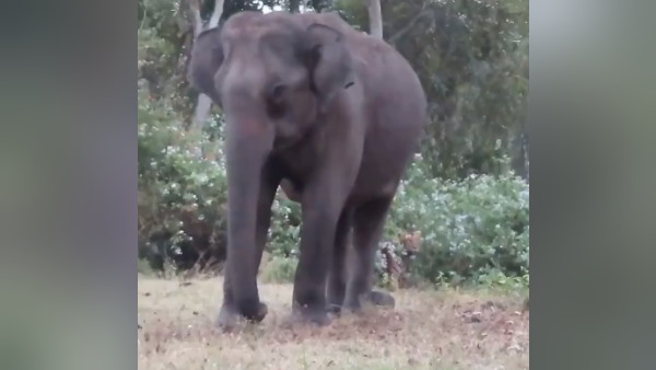 यूजर ने पूछा- 'दिमाग में क्या चल रहा है' यूजर ने पूछा- 'दिमाग में क्या चल रहा है'