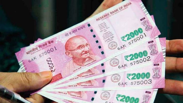 खाना बनाने की कला से हुई दिवानी खाना बनाने की कला से हुई दिवानी
