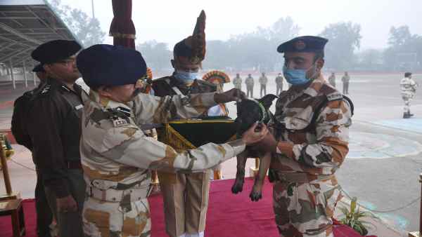 सरहद की रक्षा करने वाले सैनिकों के सम्मान में नाम-ITBP सरहद की रक्षा करने वाले सैनिकों के सम्मान में नाम-ITBP