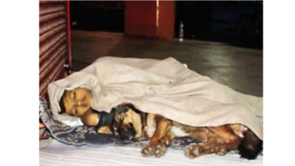 homeless kid living with dog after father in jail and abandoned by mother homeless kid living with dog after father in jail and abandoned by mother