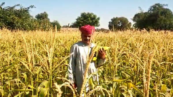 दो लाख रुपए की कमाई होने का अनुमान 