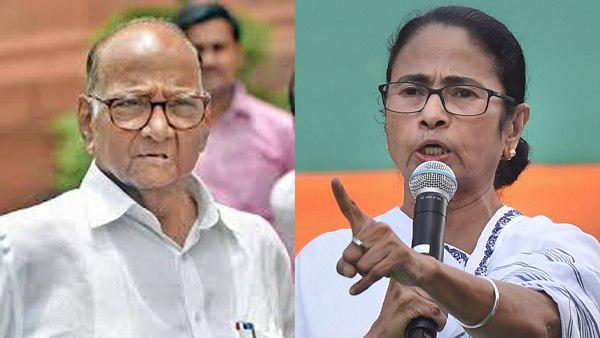 एक साथ रैली करेंगे पवार-ममता 