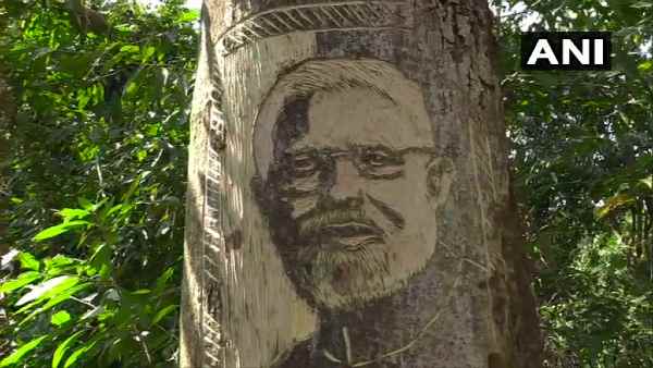 पेड़ों की अवैध कटाई रोकने की अपील