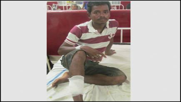 जब मालिक को बचाने के लिए पालतू कुत्ता खूंखार भालू से भिड़ गया