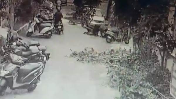इस तरह चोर को पकड़ लेते हैं एंटलिन रमेश