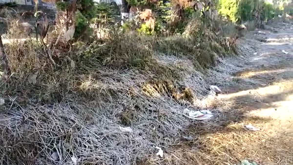 सुबह हसीन वादियों की सैर पर निकल रहे सुबह हसीन वादियों की सैर पर निकल रहे