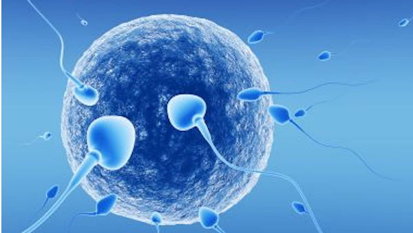 महिला ने 1992 में कराया था फ्रीज