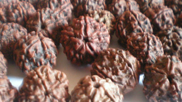 इन नियमों का पालन करें