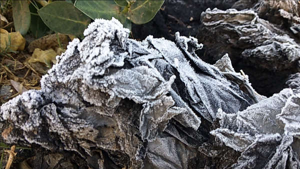 राजस्थान का मौसम पूर्वानुमान 