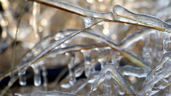 बर्फ जमी दिखी