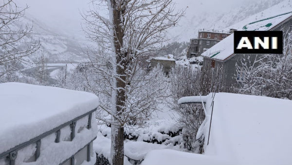 snowfall-1