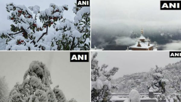 बर्फबारी की वजह से कांप रही है घाटी