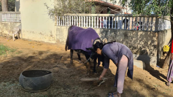  कम पढ़े-लिखे माता-पिता ने बच्चों को बनाया काबिल