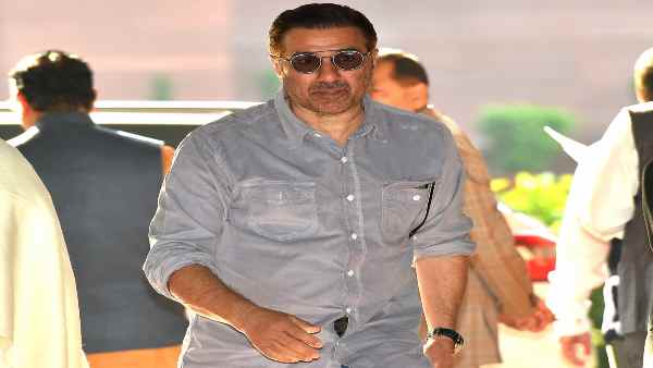 Y-category की सुरक्षा क्या होती है?