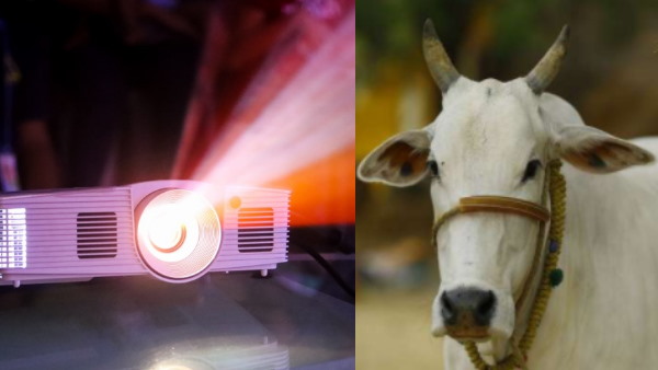 फिल्म के लिए किया गजब का जुगाड़