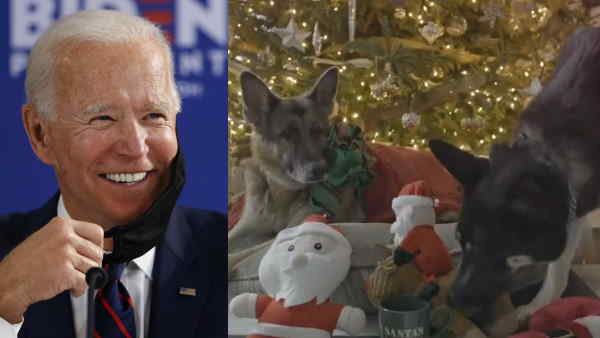 Joe Biden Pets Joe Biden Pets