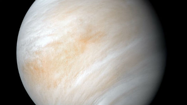 वृश्चिक मंगल की राशि है