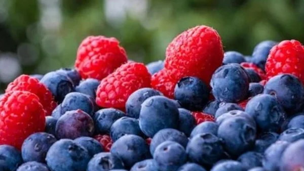 Healthy Food Diet Plan Chart