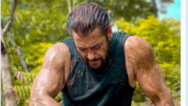 सलमान खान सलमान खान