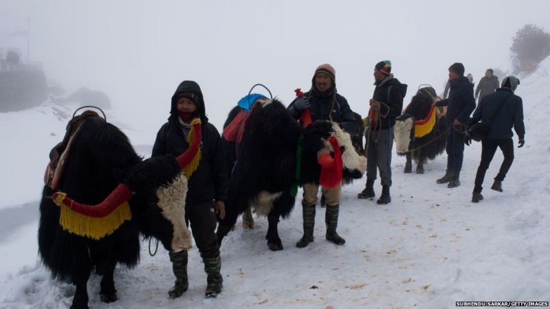 भारत-चीन सीमा विवाद: नाकुला भारत के लिए क्यों है अहम भारत-चीन सीमा विवाद: नाकुला भारत के लिए क्यों है अहम