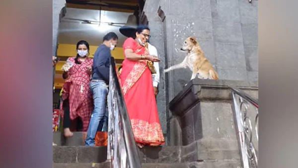 सिद्धिविनायक मंदिर का है वीडियो