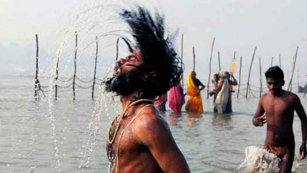 पौष अमावस्या का विचार