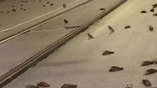 लोगों ने किया नियमों का उल्लंघन