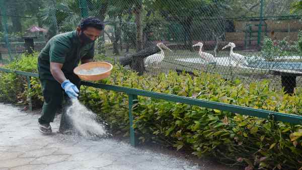 भारत में इंसानों को कितना है खतरा ?