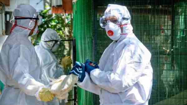 Bird Flu Alert: Uttarakhand State Animal Husbandry Department Releases Toll Free Number Bird Flu Alert: Uttarakhand State Animal Husbandry Department Releases Toll Free Number