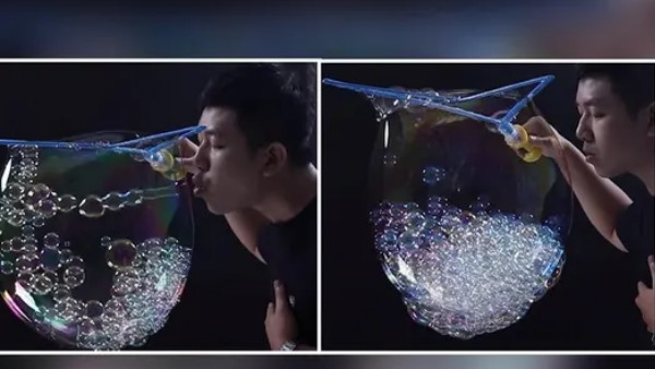 बुलबुलों संग शख्श ने बनाया वर्ल्ड रिकॉर्ड बुलबुलों संग शख्श ने बनाया वर्ल्ड रिकॉर्ड