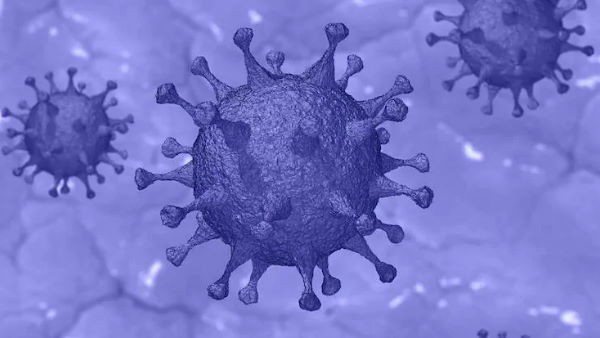 4 more cases of new mutated Covid 19 strain detects in india 4 more cases of new mutated Covid 19 strain detects in india