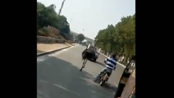 हैरत में पड़ गए लोग