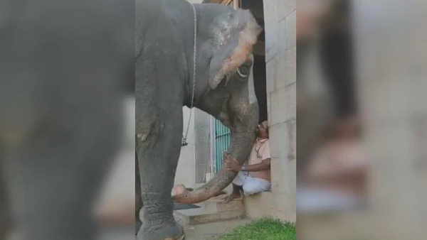 वीडियो देख हैरान हैरान हो जाएंगे