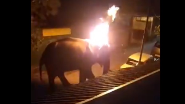 तमिलनाडु में केरल जैसी घटना तमिलनाडु में केरल जैसी घटना