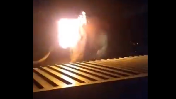 हाथी की विदाई पर फूट-फूटकर रोया वन रेंजर हाथी की विदाई पर फूट-फूटकर रोया वन रेंजर