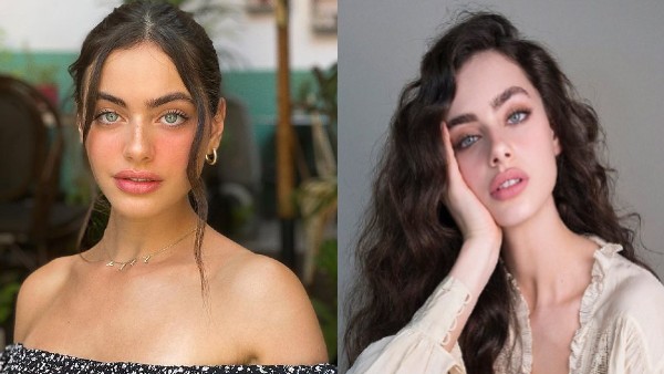 कौन हैं येल शेलिबिया?