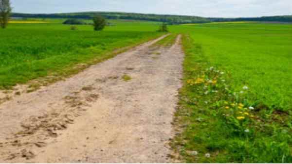 52 साल संघर्ष के बाद मिला 43 बीघा जमीन पर कब्जा 52 साल संघर्ष के बाद मिला 43 बीघा जमीन पर कब्जा